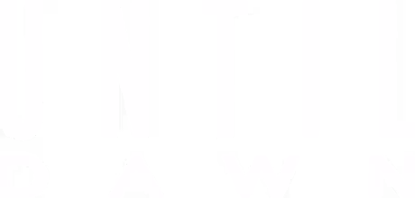 Until Dawn