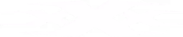 xXx